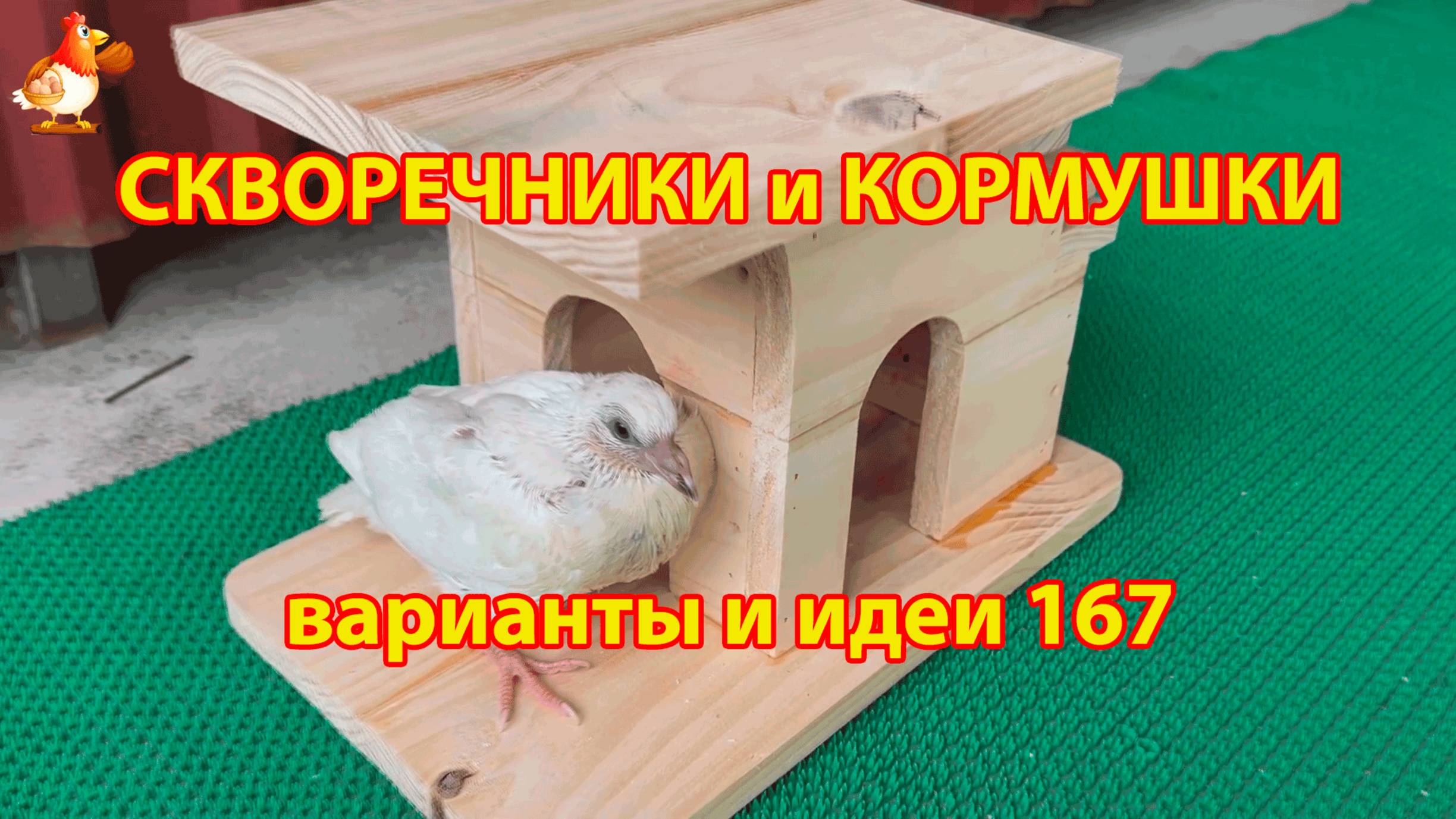 Скворечники и кормушки своими руками для птиц (167) 🪚🪛🔨 Идеи для дачи и сада пошагово ❣️