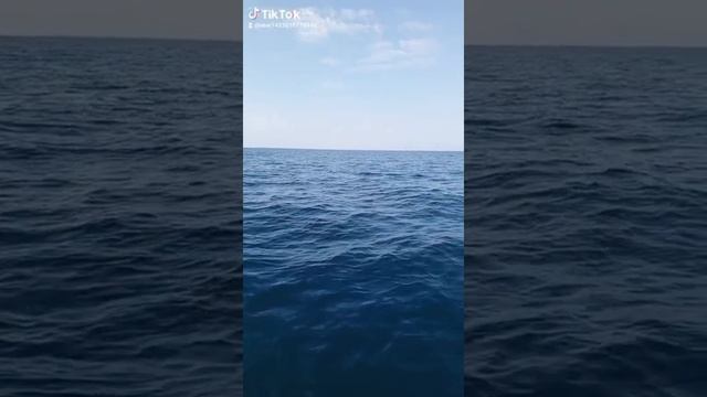 Пицунда