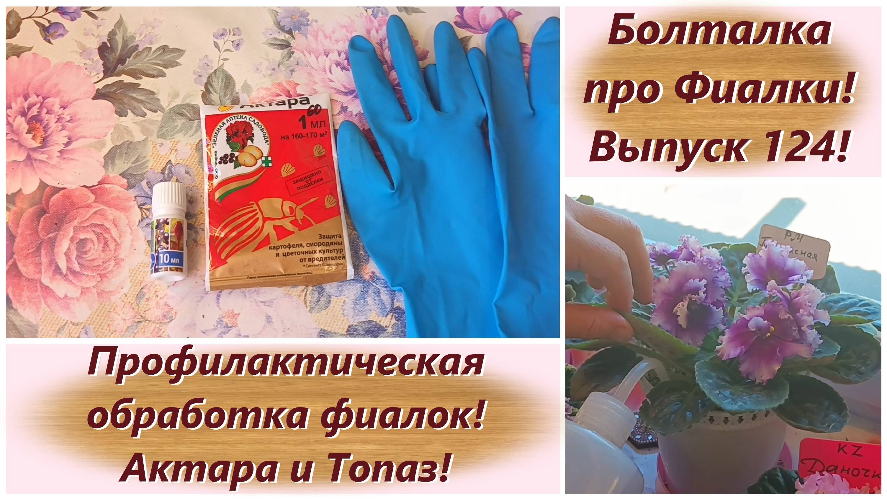 Болталка про Фиалки! Выпуск 124! Профилактическая обработка фиалок! Актара и Топаз!
