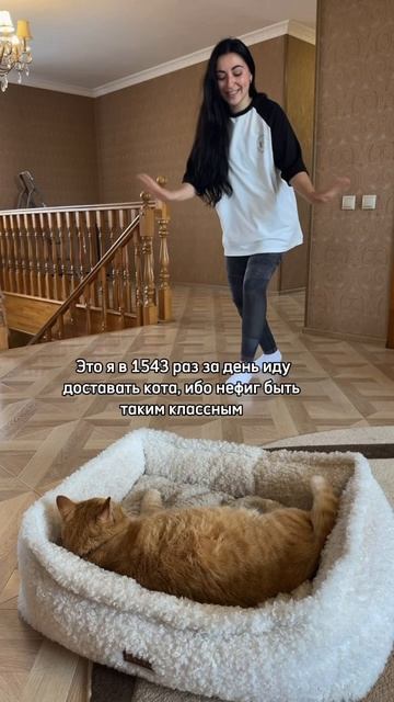 Пожалуйста, скажите что не я одна такая 😂