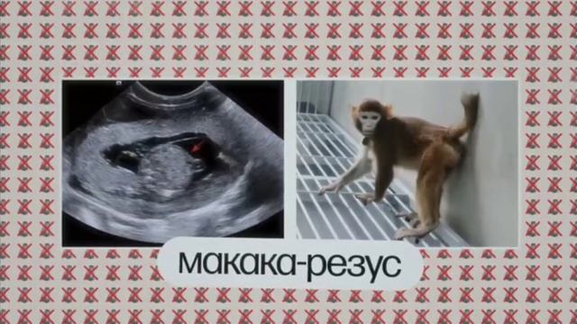 Генетика 🧬 работает не так как вы думаете 🤔