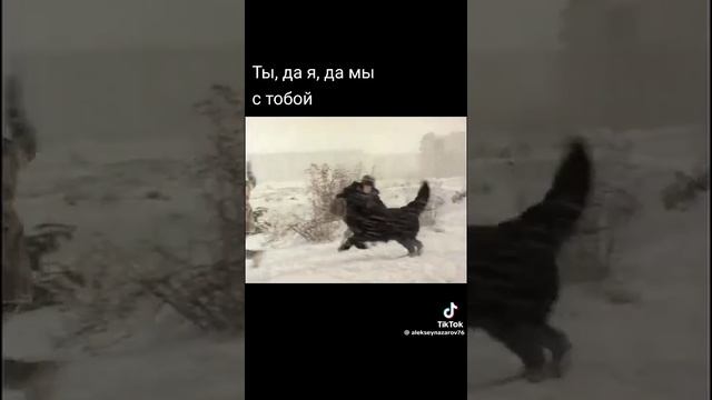 ты да я да мы с тобой