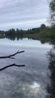 Ленобласть. Хвойное. 26.05.2025. Река Вуокса утром
