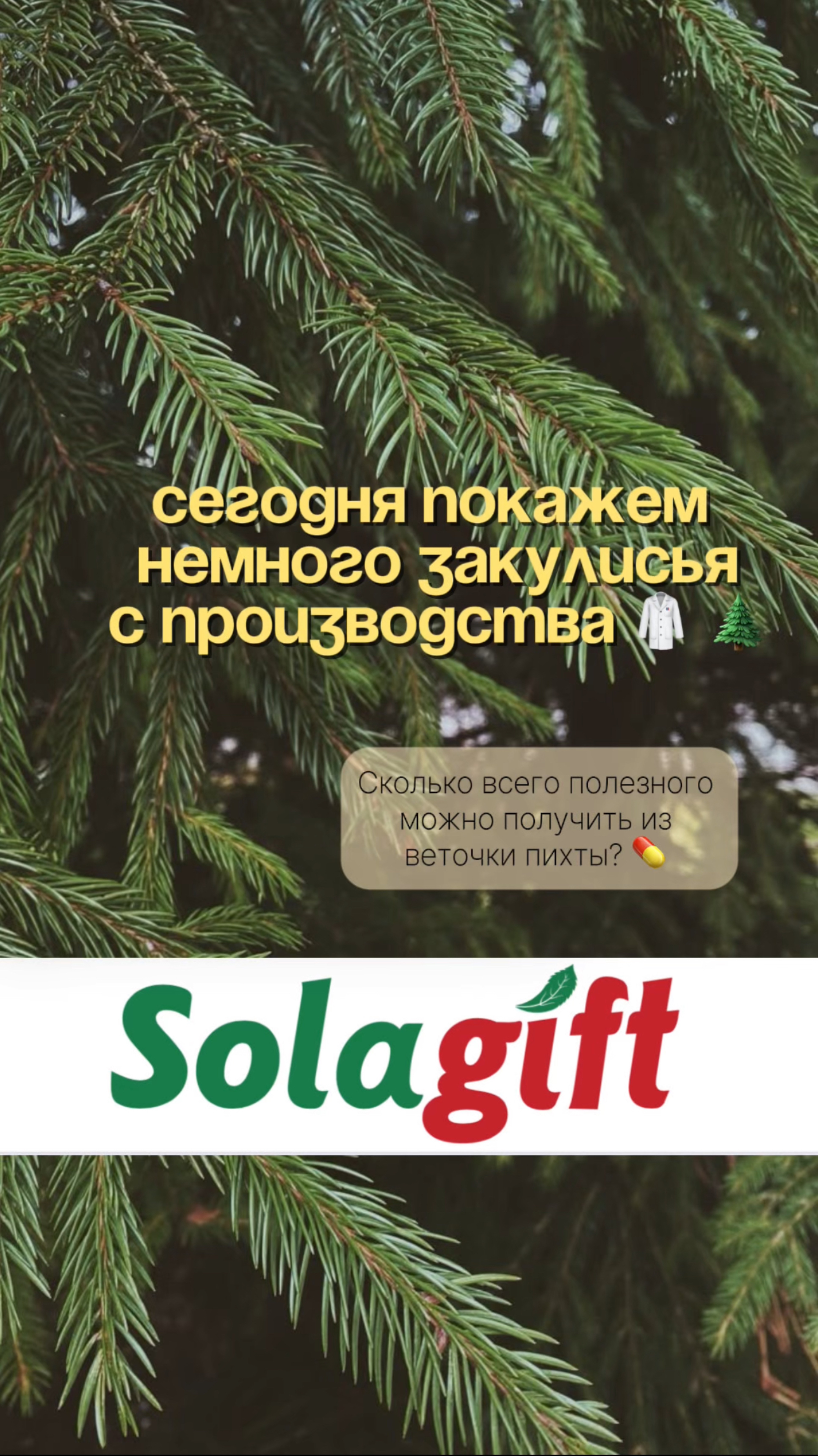 Производство Solagift