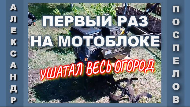 В первый раз на мотоблоке обрабатываем огород. Мотоблок ХУТЕР 7500 7,5 л.с. с чугунным редуктором.
