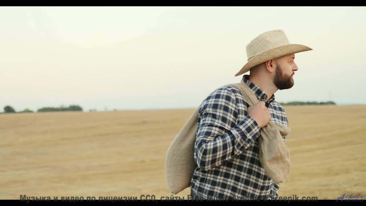 Эти кадры под этот саунд лечат без лекарств - Lily Allen -- Podington Bear -- Homage Fromage (Box Se