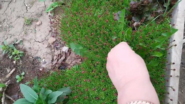 На даче наводим порядок 😊