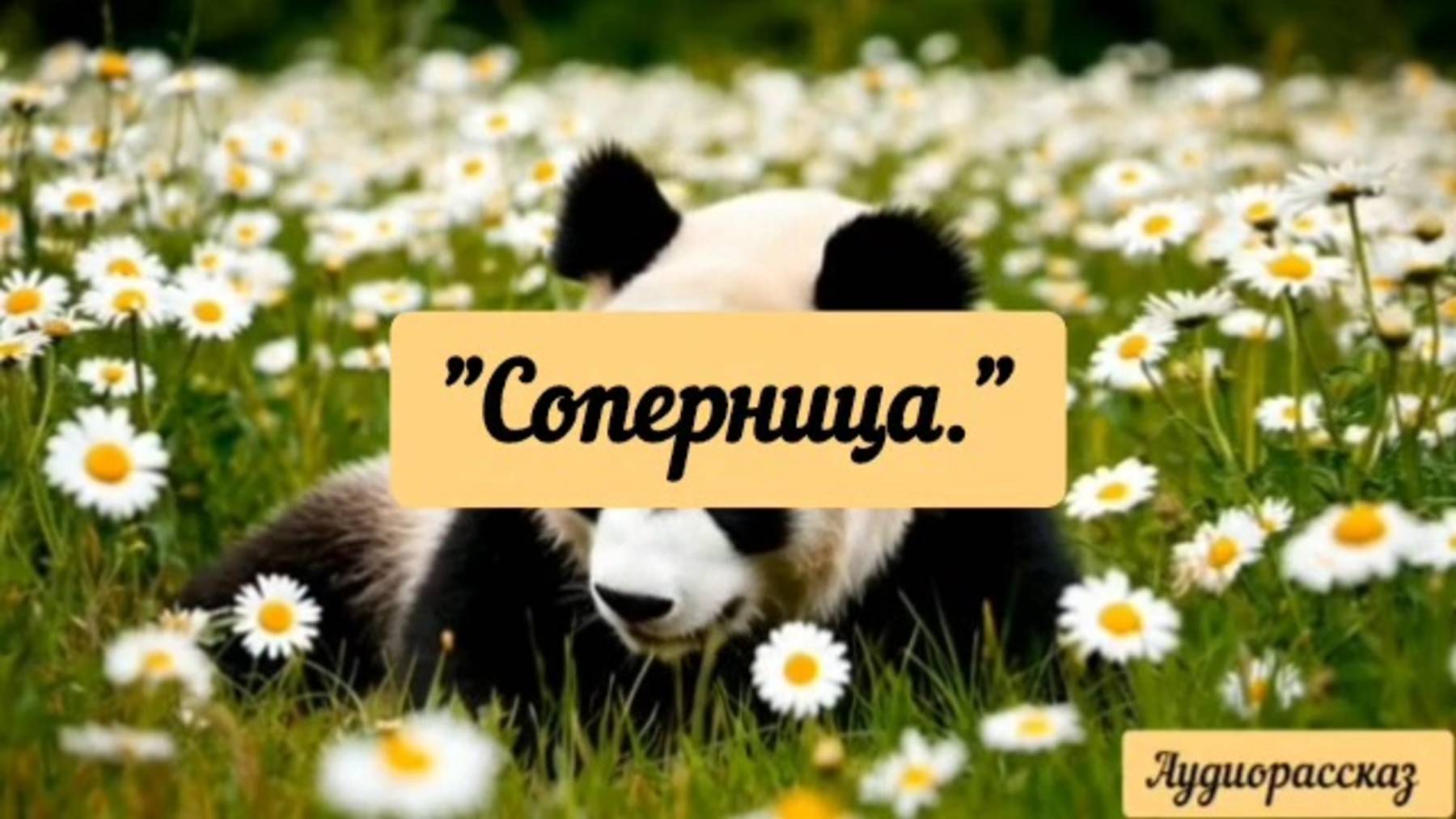 Соперница.  Аудиорассказ.