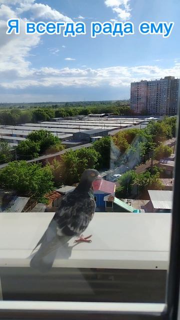 А у меня гость опять