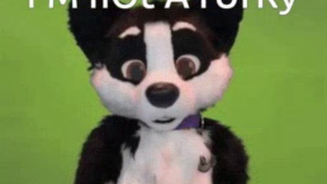 1000015779.mp4
