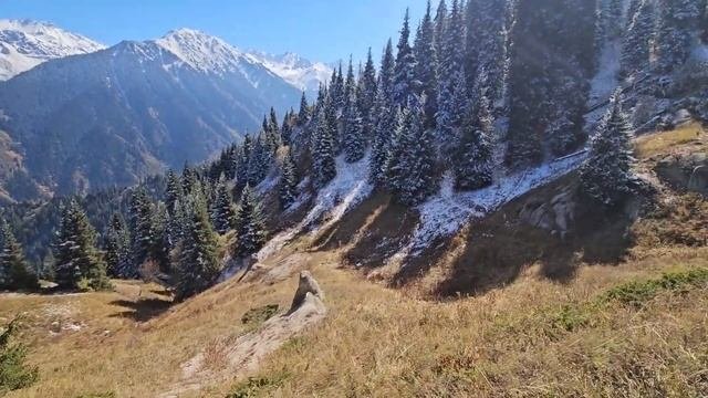 2024_09_28 День контрастов. Круговой маршрут  с Лесной сказ