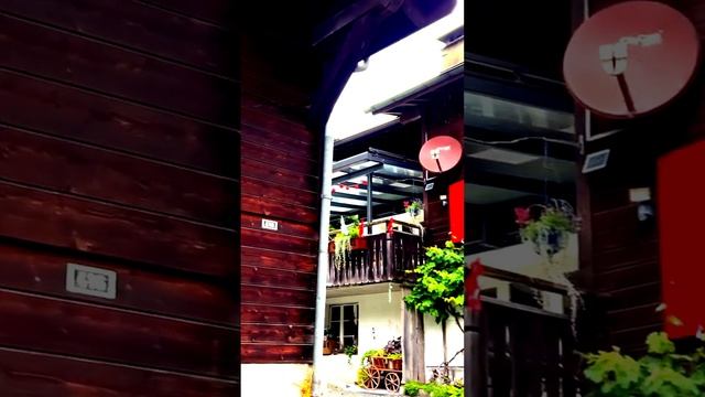 Что попало в кадр