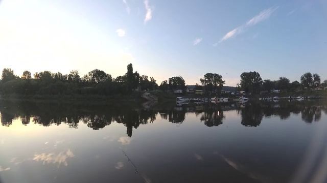 Карась на Gammarus и монку 0.06 мм.