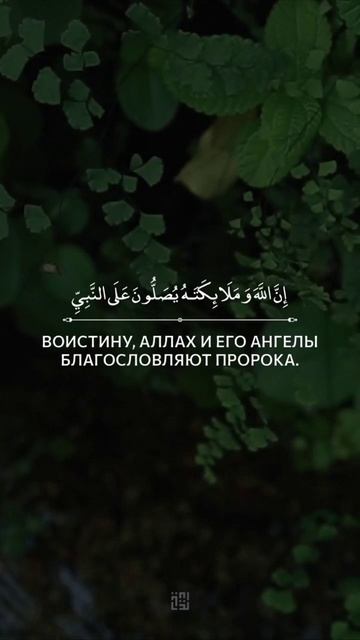 Сура 33 "Аль-Ахзаб" Аят 56 | красивое чтение Корана