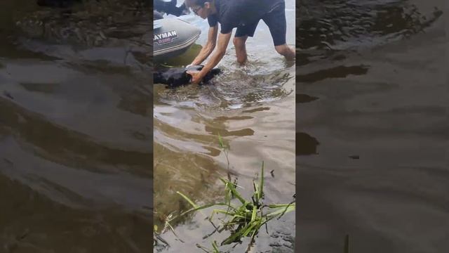 дорогие друзья, буду дальше просить , пока не наберу . н