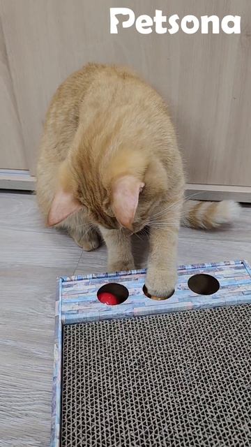 Когтеточка для кошек с шариками и мятой 😺🍃 Ссылки в описании!
