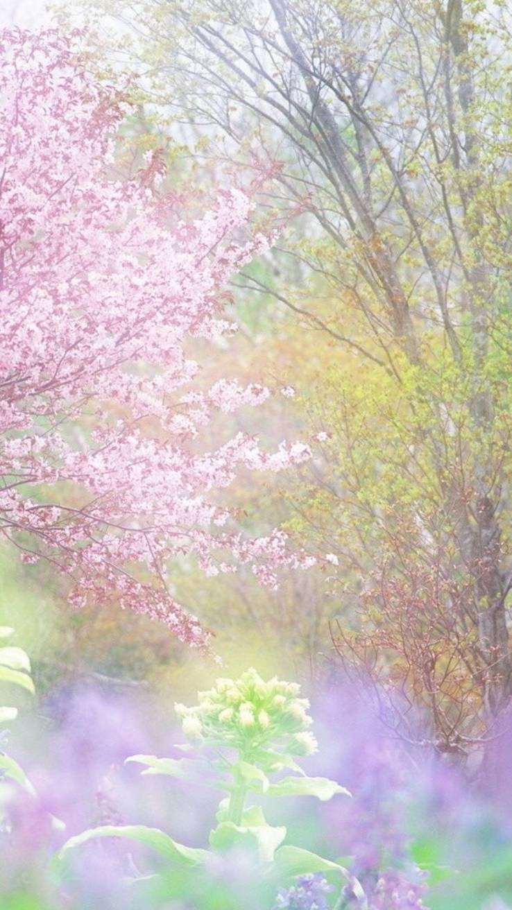 ⚜️Новые отношения до конца лета🗝️ Ссылка на ТГ под видео в комментарии