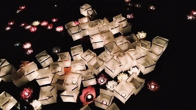 Нижний Красногвардейский пруд 24 мая 2025 г. Москва.