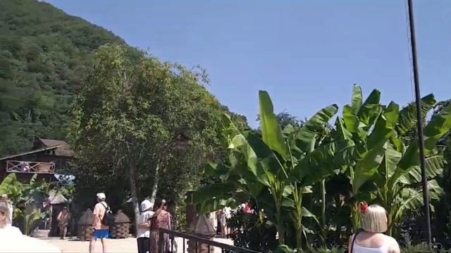 АБХАЗИЯ. ГОЛУБОЕ ОЗЕРО. ДОМ ПАСЕКИ МЕДА 🍯.