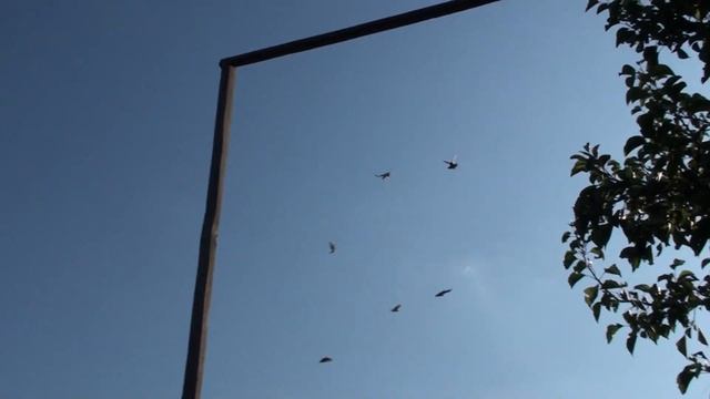 Дед поздравляет внука Руслана с дн. рожд.08.08.19.
