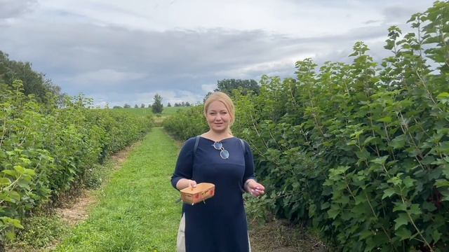 Клубничное поле 🍓 в Германии / Пикник у озера / Посети?