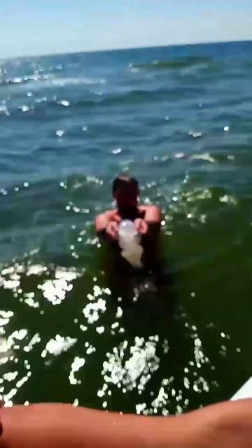 Морские жители , вот они какие