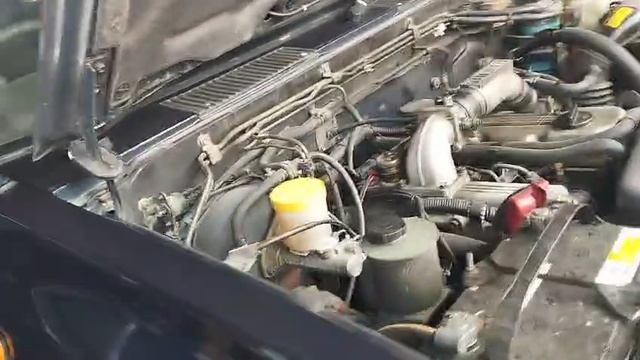 5390.mp4