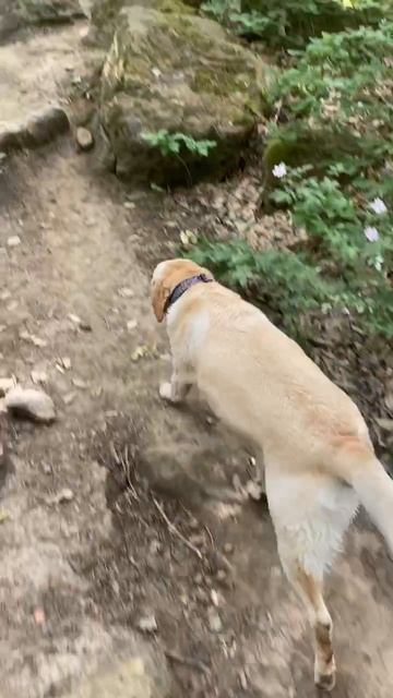 VID_20250526_221234_946.mp4