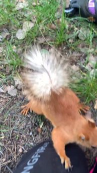 Вы уже катались на роликах на улице в этом году?