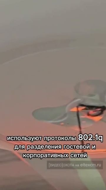 Точка доступа WEP-20L Eltex. Видео[Охота] на eltexcm.ru