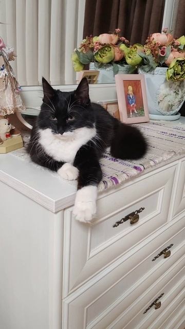 Красотка 😻