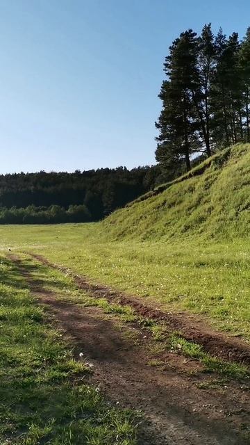 Самое время