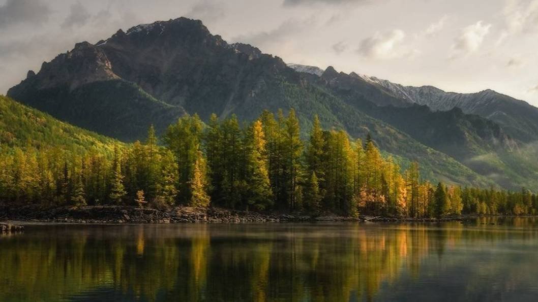 деревня прогулка,