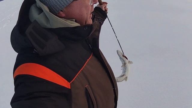 оз. САМРО . Устал бегать . Загар за загаром.