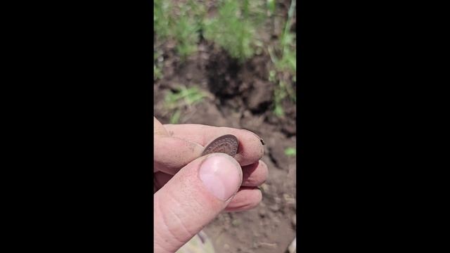 Разведка в Белгородской области