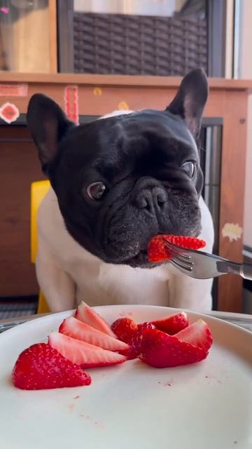 Сезон 🍓🍓🍓🍓🍓