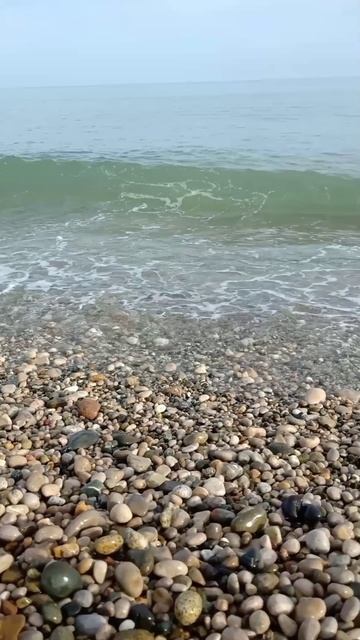 ЧЕ́РНОЕ МОРЕ