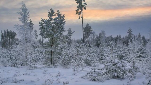 "ОХ, ПОРА ТЕБЕ НА ВОЛЮ, ПЕСНЯ РУССКАЯ!"... (Фото Сергея ОГ?