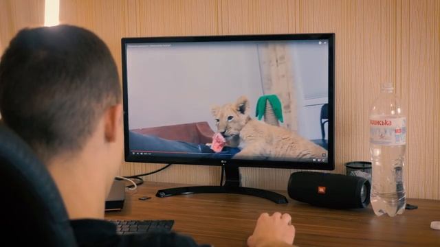 GopherVid 6 ГОДНЫХ ИДЕЙ ДЛЯ ДОМА