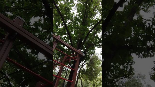 1000000493.mp4