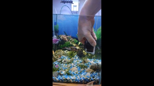 Экшн камера Mapson 5K, погрузил в аквариум