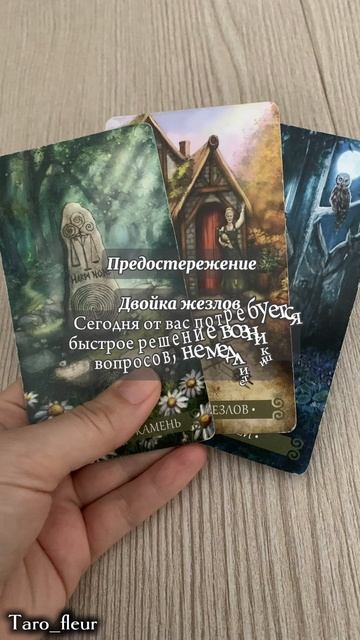 ❗️🌿КАРТА ДНЯ 26 мая 2025 🌺🌿