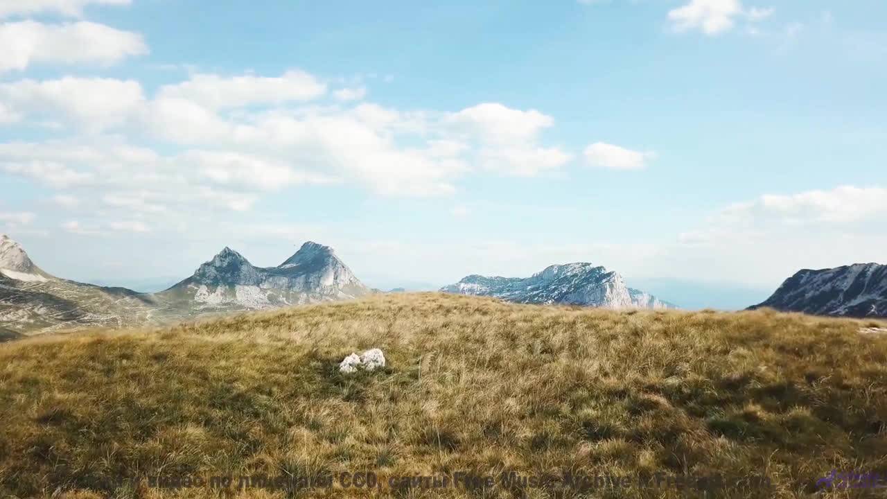 Почему это видео УДАЛЯЮТ с YouTube - The Easy Life -- PLANET WARDO -- PLANET WARDO