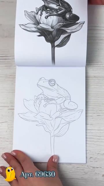Раскраска «Мои скетчи» – для тех, кто еще не умеет рисовать, но очень хочет научиться.