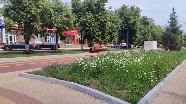 Всех бабушек с праздником 25.05.25.