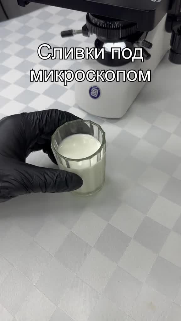 #микромир #микроскоп #интересно #наука #подмикроскопом