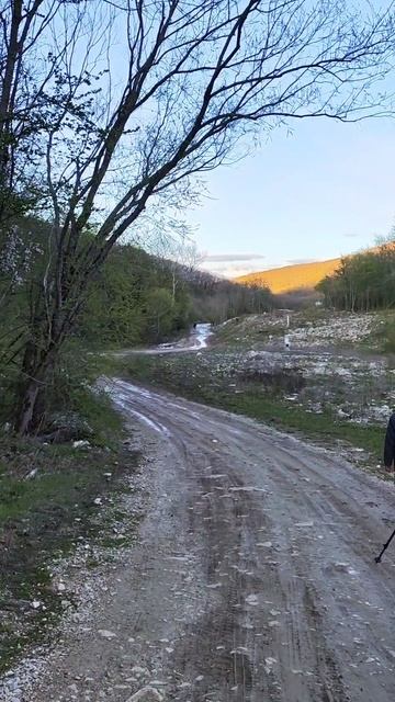 кони напугали в походе #животные #пвд