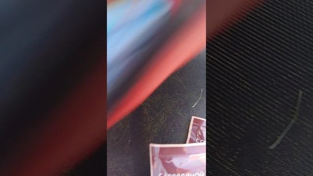 сумка для собаки йоркширского терьера