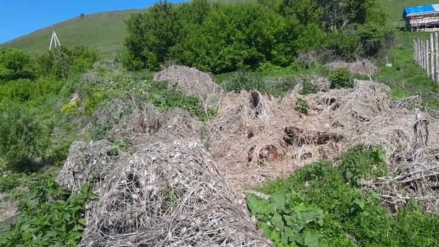Полив и подкормка удобрениями через капельный полив