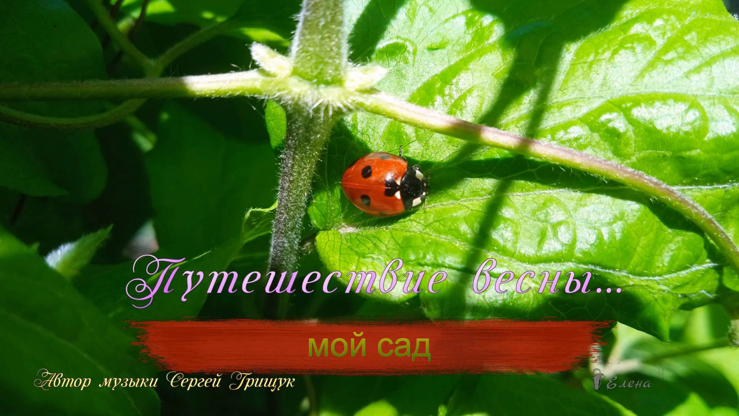 Путешествие ВЕСНЫ*    Мой сад